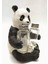Sevimli Panda Tasarım Dekoratif Büyük Tuzluk Biblo + Süpriz Hediye 3