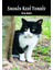 Smokin Kedi Tomris - Arzu Aytan 1