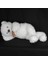 Peluş Ayıcık Salaş Model 100 cm Sevgiliye Hediye 3