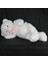 Peluş Ayıcık Salaş Model 100 cm Sevgiliye Hediye 5
