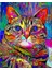 Renkli Kedi 2 Sayılarla Boyama Seti Kasnaklı 40 x 50 cm 1