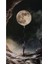 Uçan Dolunay Sayılarla Boyama Seti Kasnaklı 40 x 50 cm 1