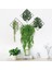 F Fityle 1bunch 75 cm Yapay Ivy Vine Bitkiler Açık Kapalı Asılı Dekor Yeşil (Yurt Dışından) 3