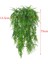 F Fityle 1bunch 75 cm Yapay Ivy Vine Bitkiler Açık Kapalı Asılı Dekor Yeşil (Yurt Dışından) 4