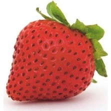 Ucuzluk Diyarı 90 Adet Aramos Çilek Fidanı Açık Kök ve Taze Söküm