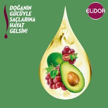 Elidor Doğanın Enerjisi Kalın ve Gür Saçlar Avokado Özlü Saç Bakım Şampuanı 650 ML