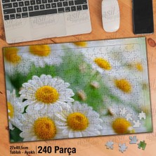 Asilmeydan Asil Hobi Kır Bahçesinde Beyaz Papatyalar - Çiçek Yapboz - Ayak Destekli Çerçeveli 240 Parça Puzzle