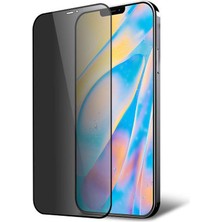 Microcase iPhone 12 Mini Privacy Gizlilik Filtreli Tam Kaplayan Tempered Cam - Siyah