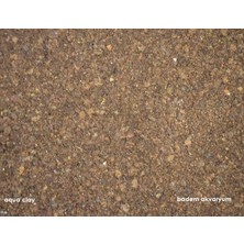 Badem Akvaryum Bitki Kumu Kahverengi 0,5-3 mm 10 Kg