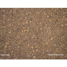 Badem Akvaryum Bitki Kumu Kahverengi 0,5-3 mm 5 Kg