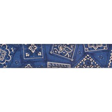 Planet Waves 50G03  Gitar Askısı Dokuma 50MM Mavi Bandana