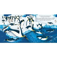 Pop-Up Birds - Laura Cowan