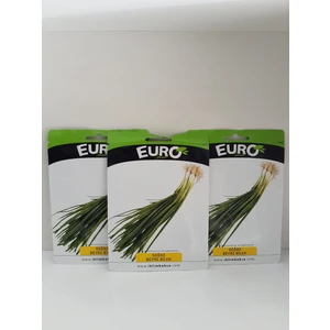 Euro Tohum Yeşil Soğan Tohumu 3 Adet
