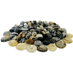 Night Butik Orta & Küçük Boy Doğal Desenli Deniz Taşı, Çakıl Taşı, Süs Taşı