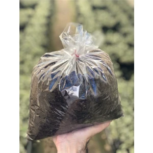 Kaktüs & Sukulent Toprağı Özel Karışım (5 Litre)