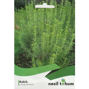 Nesil Kekik Tohumu (200 Adet)