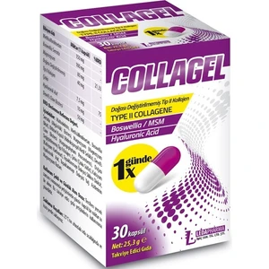 Collagel Kapsül - Type Iı Collagen