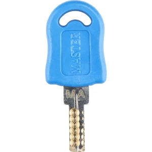 Master Sistem Yedek Anahtarı