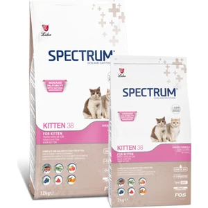 Yavru Kedi Maması 12 kg