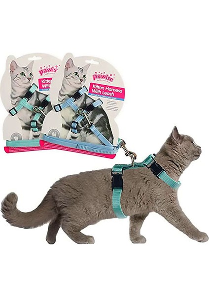 Kedi Göğüs T.(14.5-25 18-30CM) Yeşil-Mavi S