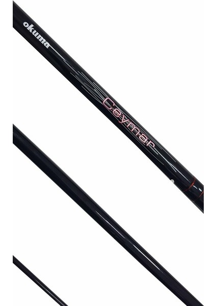 Ceymar Surf 4,30 M 100-250 gr 3 Parça Surf Kamışı