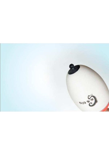5 Adet Aydınlık Balıkçılık Bobbers Eva Köpük Şamandıra Balıkçılık 10G-50G 10-50G Yüzer indirimleri
