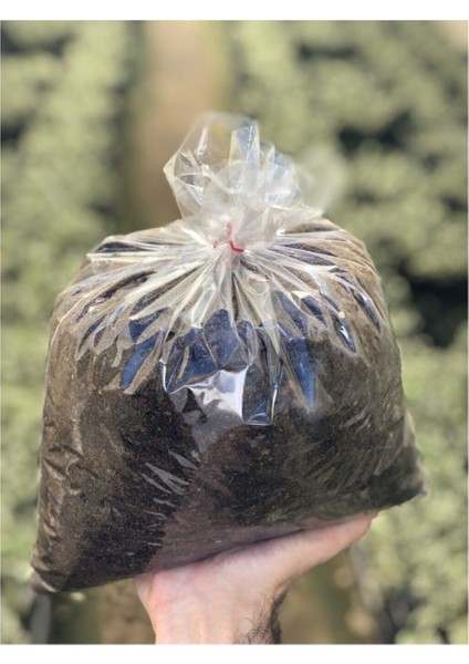 Kaktüs & Sukulent Toprağı Özel Karışım (5 Litre)