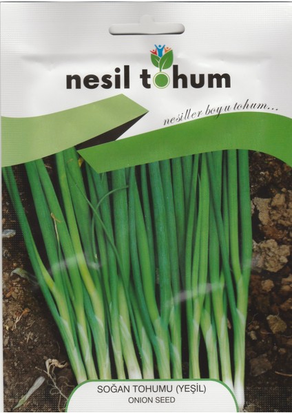 Nesil Yeşil Soğan Tohumu 5 gr