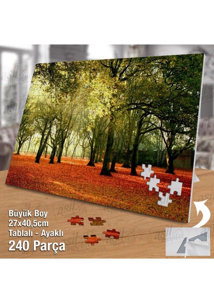 Asil Hobi -Ağaçlara Uzanan Güneş Işığı - Doğa - Manzara - Yapboz - Ayak Destekli 240 Parça Puzzle fiyatları