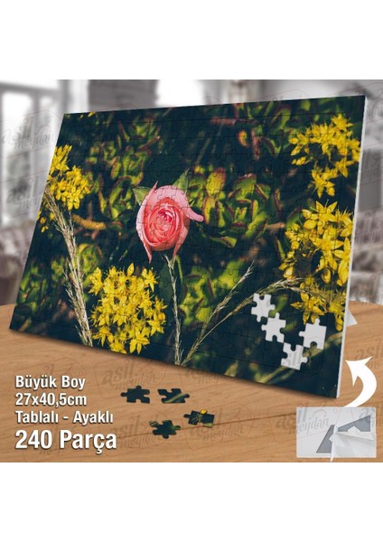 Asil Hobi Pembe Gül - Bitki - Çiçek Yapboz - Ayak Destekli Çerçeveli 240 Parça Puzzle