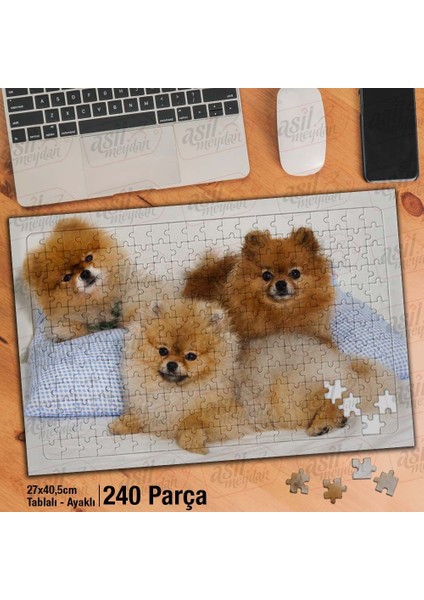 Asil Hobi Küçük ve Güzel Köpekler - Sevimli Hayvan Yapboz - Ayak Destekli Çerçeveli 240 Parça Puzzle