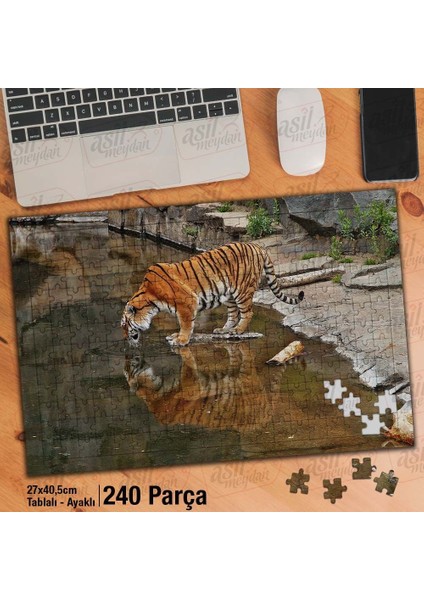 Asil Hobi Gölde Su Içen Kaplan - Yansıma - Hayvan Yapboz- Ayak Destekli Çerçeveli 240 Parça Puzzle