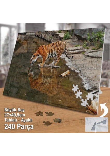 Asil Hobi Gölde Su Içen Kaplan - Yansıma - Hayvan Yapboz- Ayak Destekli Çerçeveli 240 Parça Puzzle fiyatları