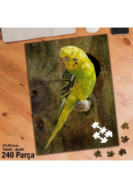 Asil Hobi Sarı - Yeşil - Muhabbet Kuşu - Hayvan Yapboz - Ayak Destekli Çerçeveli 240 Parça Puzzle