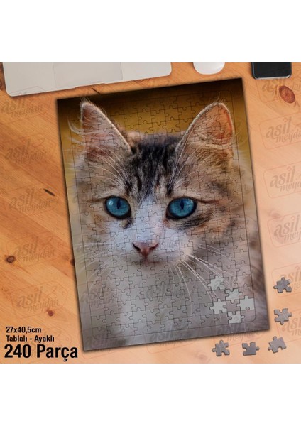 Asil Hobi Cat - Mavi Gözlü Kedi - Sevimli Hayvan Yapboz -Ayak Destekli Çerçeveli 240 Parça Puzzle