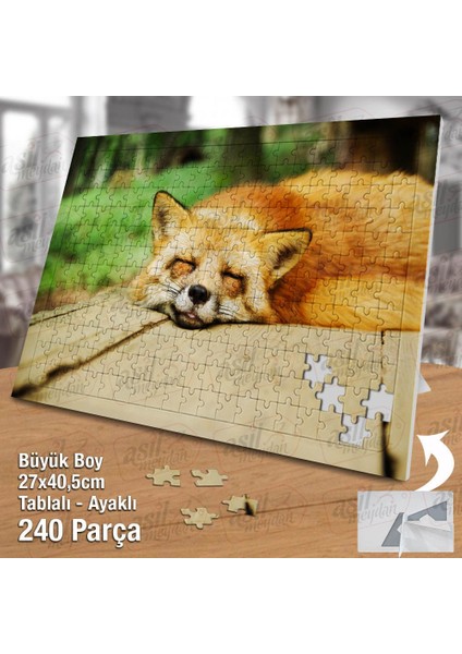 Asil Hobi Sarı Tüylü Tilki - Uyuyan Tilki - Doğa Yapboz -Ayak Destekli Çerçeveli 240 Parça Puzzle fiyatları