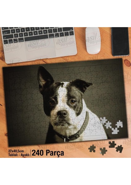 Asil Hobi Siyah Beyaz Tüylü Köpek - Hayvan Yapboz -Ayak Destekli Çerçeveli 240 Parça Puzzle