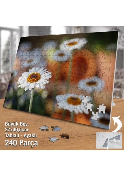 Asil Hobi Doğa - Papatya -Çiçek- Bitki- Bahar Yapboz -Ayak Destekli Çerçeveli 240 Parça Puzzle