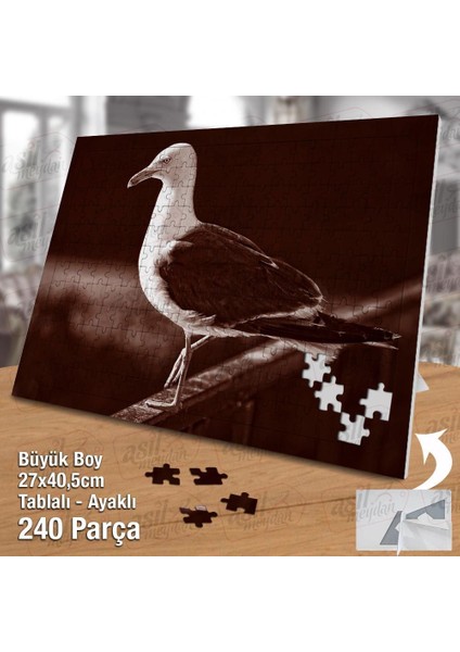 Asil Hobi Martı - Kuş - Hayvan - Yabani Hayat Yapboz -Ayak Destekli Çerçeveli 240 Parça Puzzle fiyatları