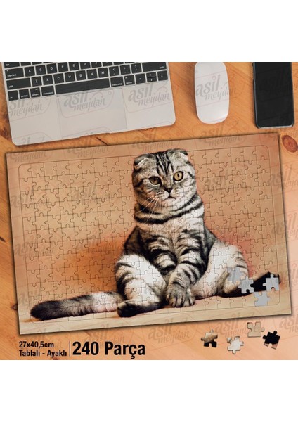 Asil Hobi Oturan Yavru Kedi - Evcil Hayvan Yapboz -Ayak Destekli Çerçeveli 240 Parça Puzzle