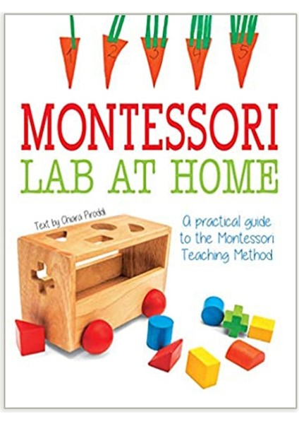 Montessori Lab At Home: A Practical Guide About Montessori Teaching Method -Chiara Pasti