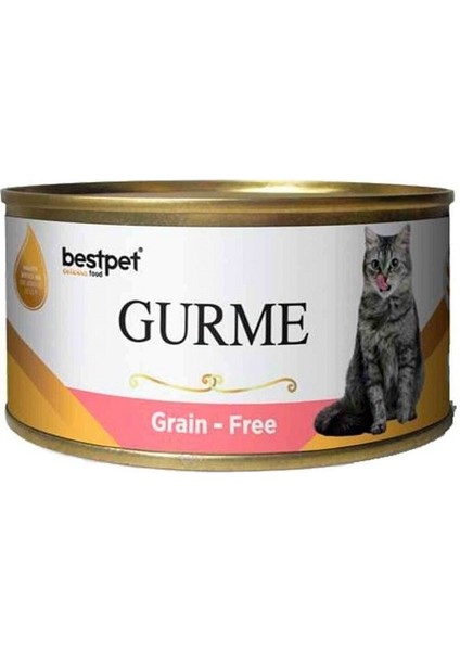 Best Pet Gurme Jöleli Somonlu Kısırlaştırılmış Kedi Konservesi 100 gr