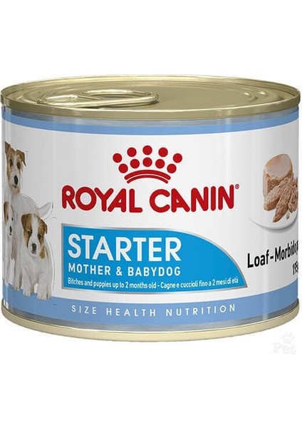 Royal Canin Starter Mousse Konserve Yavru Köpek Maması 195 gr