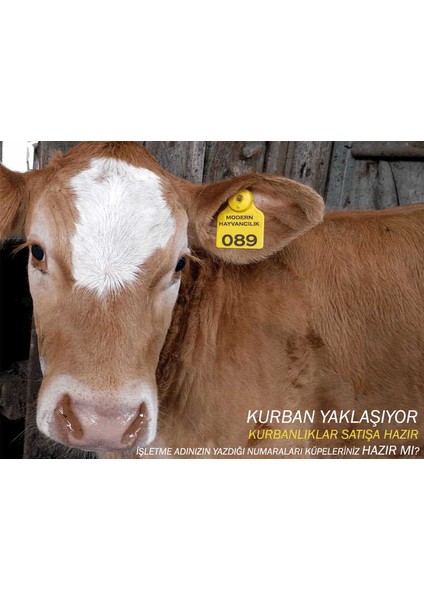 Büyükbaş Hayvan Kulak Küpesi Turuncu 1-50 Arası
