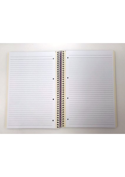 A4 Thebook Spiralli Sert Kapak Çizgili Defter 100 Yaprak Mavi
