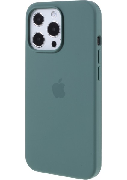 EX Beauty iPhone 13 Pro Için Silikon Telefon Kılıfı (Yurt Dışından) fiyatları
