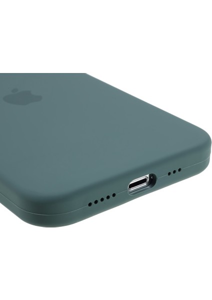 EX Beauty iPhone 13 Pro Için Silikon Telefon Kılıfı (Yurt Dışından) fırsatları