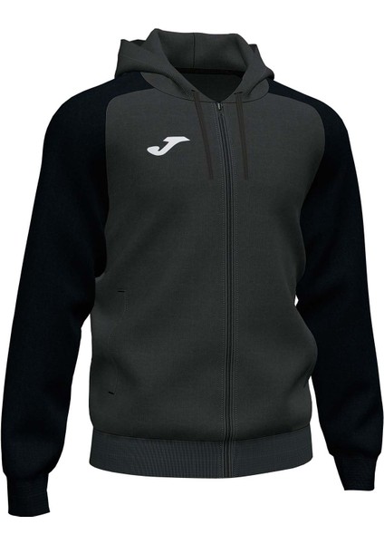 Erkek Eşofman Üstü Academy Iv Zip-Up Hoodie 101967.151