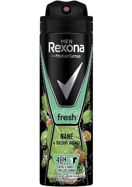 Men Günlük Arınma Şampuan + Rexona Nane Sedir Ağacı Deo Set modelleri