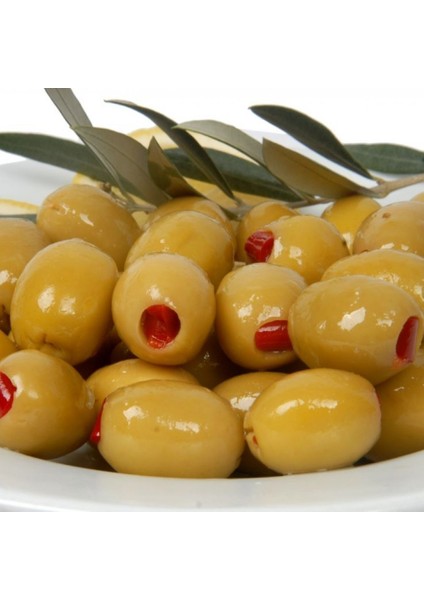 Tüplü Aşılı Iri Meyveli Sarı Ulak Zeytin Fidanı 60 - 80 cm